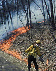 Afton State Park prescribed fire